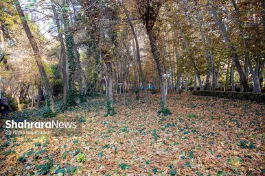 طبیعت پاییزی بوستان های مشهد