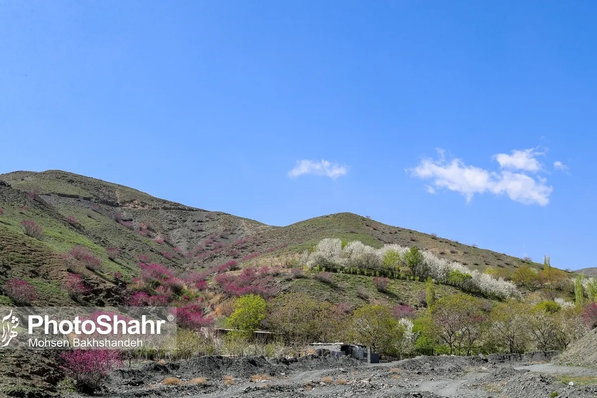 وزش باد شدید در خراسان رضوی همچنان ادامه دارد | ماندگاری هوای گرم در استان (١٩ فروردین‌ماه ١۴٠٢) 
