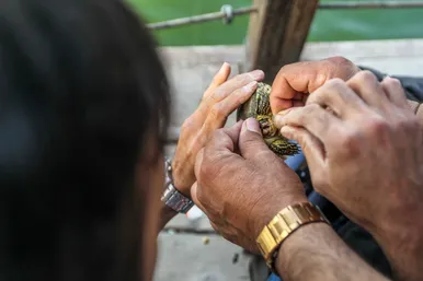 جشنواره ماهیگیری در رود پارک مشهد
