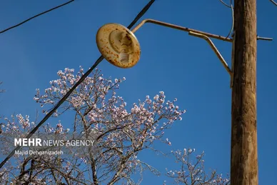 ایران زیباست | بوی بهار در زمستان کویر