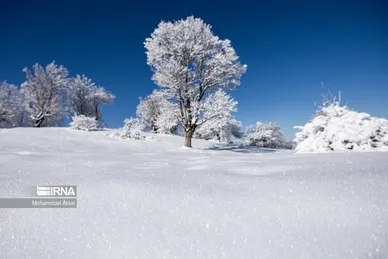 ایران زیباست | گلستان برفی