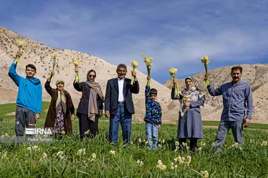 نذر گل نرگس به مقصد حرم