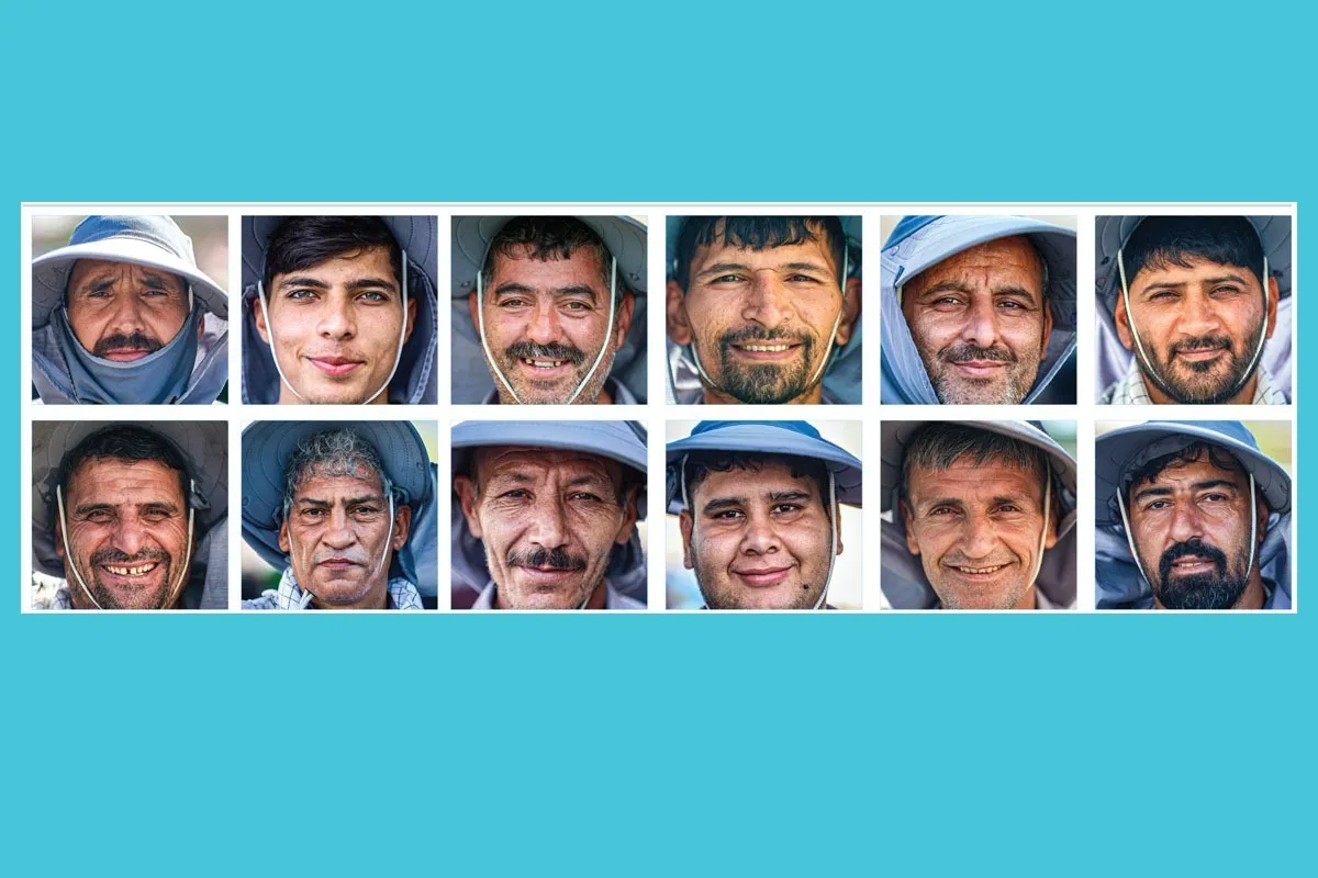 چهره‌هایی به رنگ فیروزه