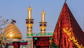 پیام مهم پزشک فوق&zwnj;تخصص نوزادان از جوار حرم قمر بنی&zwnj;هاشم برای مادران باردار + ویدیو