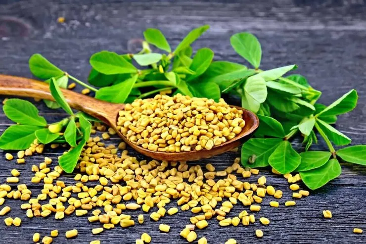 آشنایی با خواص شگفت انگیز شنبلیله