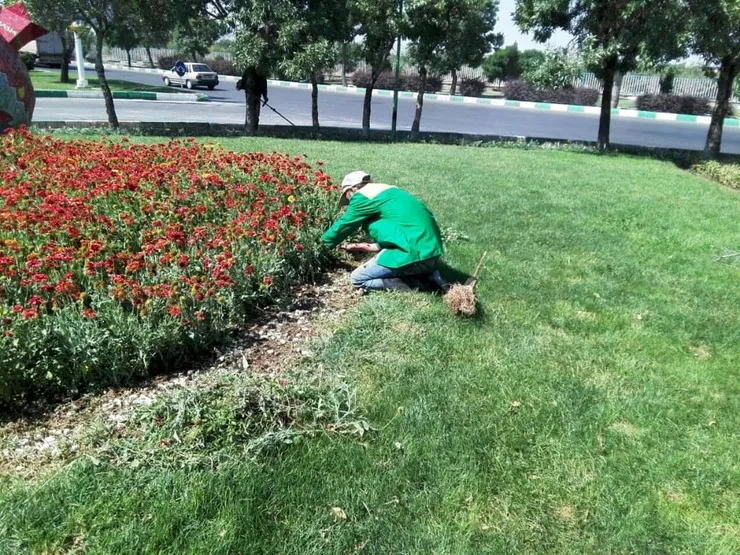 تقدیر استانداری خراسان‌رضوی از شهرداری برای ساماندهی کارگران/ اشتغال ۲۲۰۰ کارگر در پروژه‌های شهری مشهد
