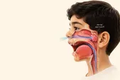 لوزه‌ای با تهدیدات آتی | درباره التهاب لوزه سوم که عامل مشکلات متعدد در کودکان است