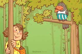 شعر کودک | گردو