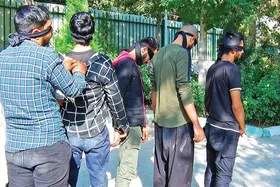 زمین&zwnj;گیر شدن باند اسکیمری در مشهد | دارودسته پرتقال&zwnj;فروش پیدا شد!