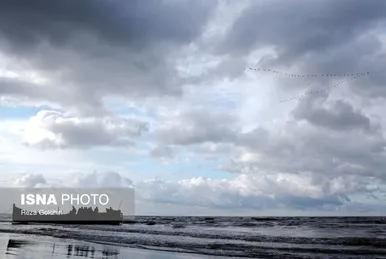 ایران زیباست | پرندگان مهاجر دریای خزر