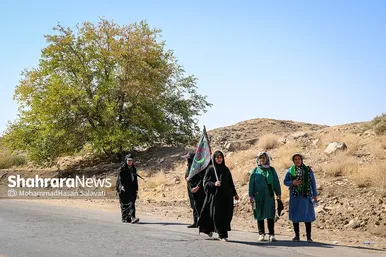 زائران پیاده در مسیر حرم مطهر رضوی
