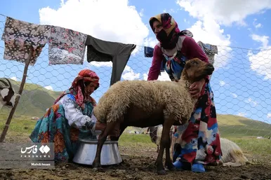 مادرانِ آبادی