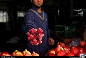 طرح نظارتی اصناف ویژه شب یلدا در مشهد | قیمت میوه از مبدأ تا مقصد رصد می&zwnj;شود
