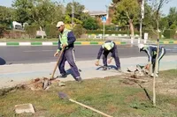 خادمان سبزپوش منطقه ۷ در مسیر عشق؛ آماده‌سازی باشکوه معابر برای استقبال از پیکر مطهر رهبر شهید