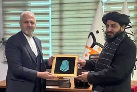 ایران و افغانستان بر گسترش همکاری&zwnj;ها در زمینه انرژی&zwnj;های تجدیدپذیر تأکید کردند