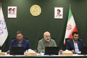 تاکید رئیس مجلس بر بررسی سریع طرح نفوذ بیگانگان