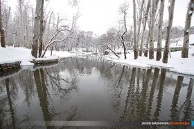ویدئو | بازگشت جریان زندگی با آب شدن برف در پارک وکیل&zwnj;آباد