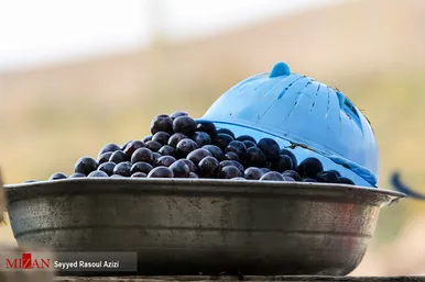 بام‌های طلایی خرو