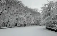 ویدئو| تصاویری جالب از جنگل یخ‌زده فندقلو اردبیل (۹ اسفند ۱۴۰۳)