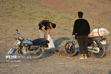کوه؛ بهار، ریواس