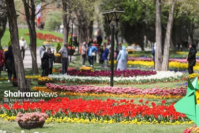 رویش لاله‌ها در بوستان ملت