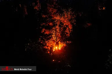 آتش سوزی منطقه حفاظت شده جهان نمای  گلستان