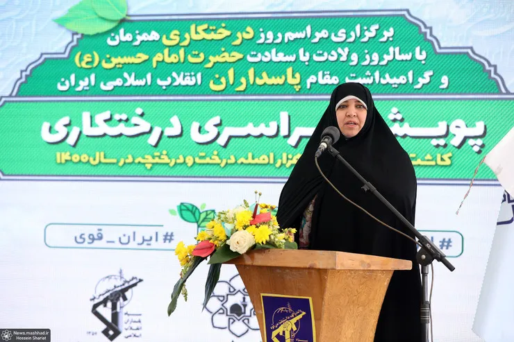 کاشت دو هزار قطعه درخت به نام شهدا در مشهد