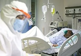 چه بیمارانی &laquo;قارچ سیاه&raquo; می&zwnj;گیرند؟ + فیلم