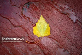 پیش&zwnj;بینی هواشناسی مشهد و خراسان رضوی امروز (چهارشنبه، ۳۰ مهر ۱۴۰۴) | احتمال بارش&zwnj;های رگباری پراکنده باران در برخی نقاط استان