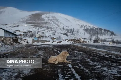 ایران زیباست | طبیعت زیبای رضوانشهر
