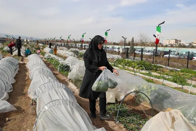 سفر وزیر کشور به مشهد