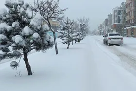جمعه برفی در انتظار مشهد (۱۳ بهمن ۱۴۰۲)