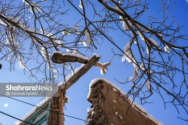 گزارش تصویری | طبیعت زمستانی روستای کنگ