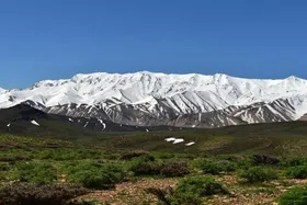 ویدئو| نمایی زیبا از قالی&zwnj;کوه لرستان