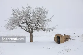 یک روز برفی در مشهد