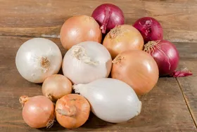 پیاز ارزان می&zwnj;شود (۱۱ اردیبهشت ۱۴۰۳)
