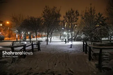 گزارش تصویری | بارش برف در مشهد (۷ اسفند ۱۴۰۳)