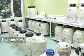 نگاهی به اقدامات مرکز درمانی میلاد مشهد برای زوج&zwnj;های نابارور