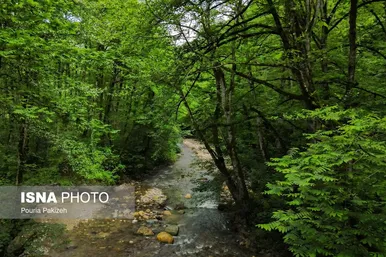 ایران زیباست | طبیعت بهاری «سیاهکل»