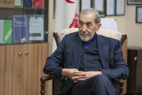 ولایتی: تنگه هرمز متعلق به ایران است و هیچ قدرتی نمی&zwnj;تواند آن را از مالکیت کشور خارج کند | ایده تقسیم مسیرها در تنگه، چوب حراج به سرمایه ملی است