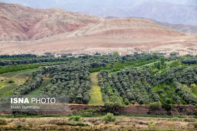 ایران زیباست | طبیعت بهاری «طارُم»، هندوستان ایران