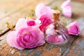 از خواص معجزه&zwnj;آسای گلاب چه میدانید؟