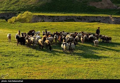 ایران زیباست | طبیعت بهاری منطقه دره اناران سپیدشت خرم آباد