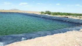 هشدار دانشگاه علوم پزشکی مشهد درخصوص خطر غرق شدن در استخر&zwnj;های ویلا شخصی و کشاورزی در فصل گرما