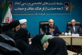 رئیس مجلس: در تدوین لایحه عفاف و حجاب باید دیدگاه تمام افراد صاحب&zwnj;نظر دیده شود