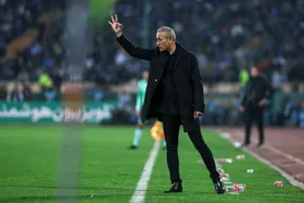 گل&zwnj;محمدی در فولاد ماندنی شد؟ + عکس