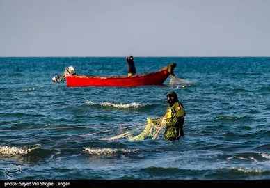 صید ماهی استخوانی - مازندران