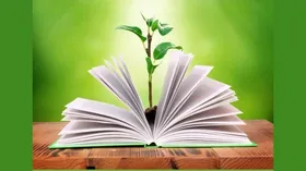 کاهش اضطراب و افسردگی با کتاب&zwnj;درمانی