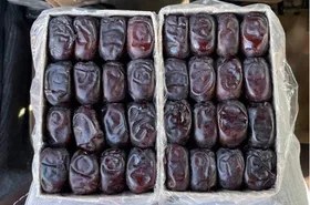 نرخ مصوب خرما تنظیم بازار در مشهد مشخص شد (۲۳ اسفند۱۴۰۲)