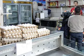 یک شانه تخم مرغ در مشهد چقدر آب می&zwnj;خورد؟ (یکم اردیبهشت ۱۴۰۵)